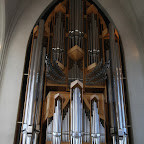 The organ