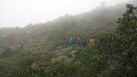 SERRA LA BÈRNIA-CEA.-8-V-2016 039