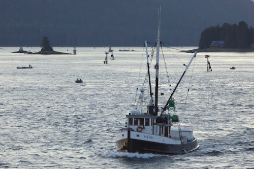 Narrow channel, Alaska Inland Passage