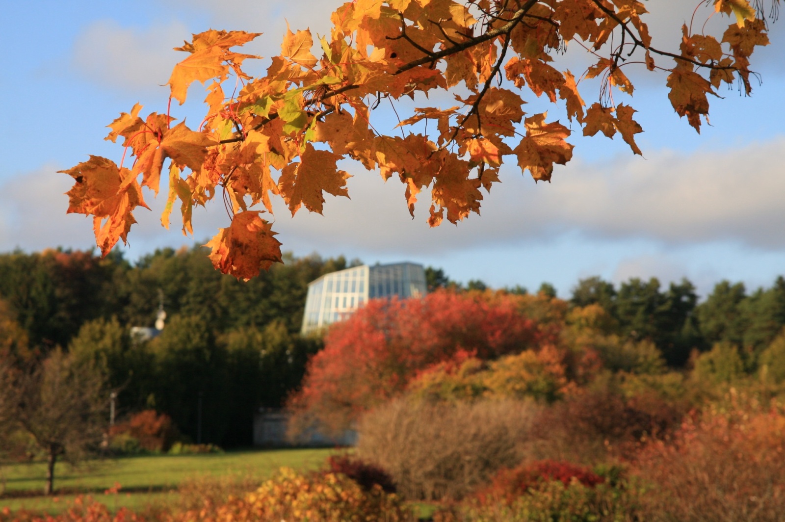 Autumn colors