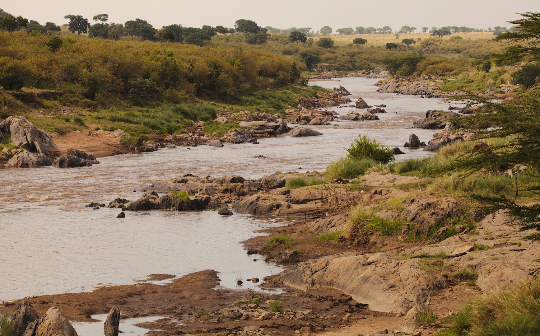 It is a river, of course there are crocodiles!