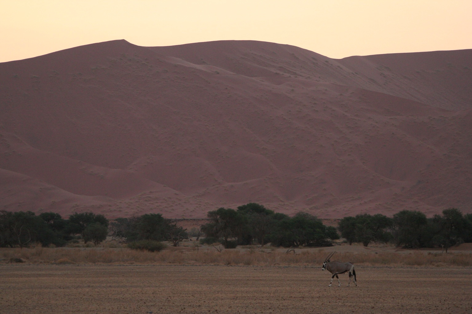 Southern Africa