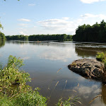 River Pines Trail