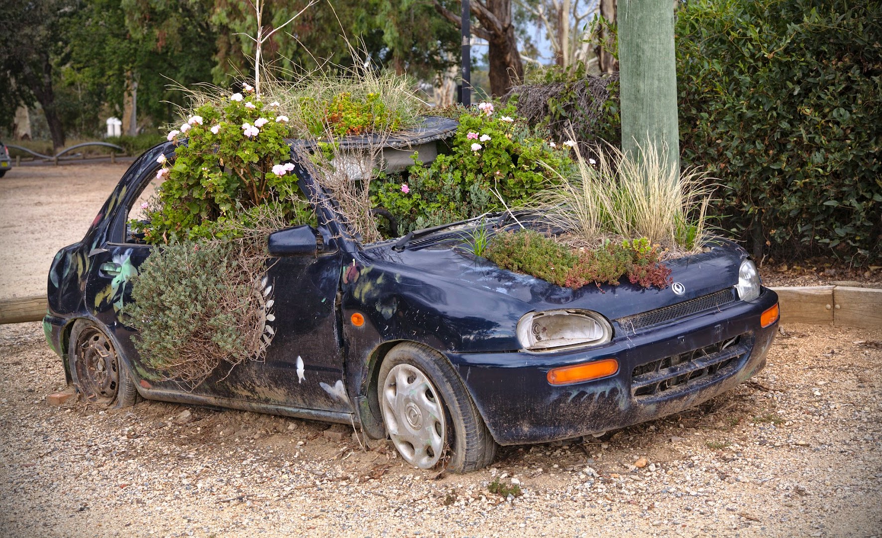 This is what happens if you leave your car parked for too long in the tropics