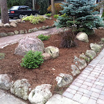 New plants, interlock and stone border.