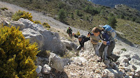 PLA DE LA CASA PER EL FOGÓ DE LA SERRELLA-CEA.-20-III-2016 075