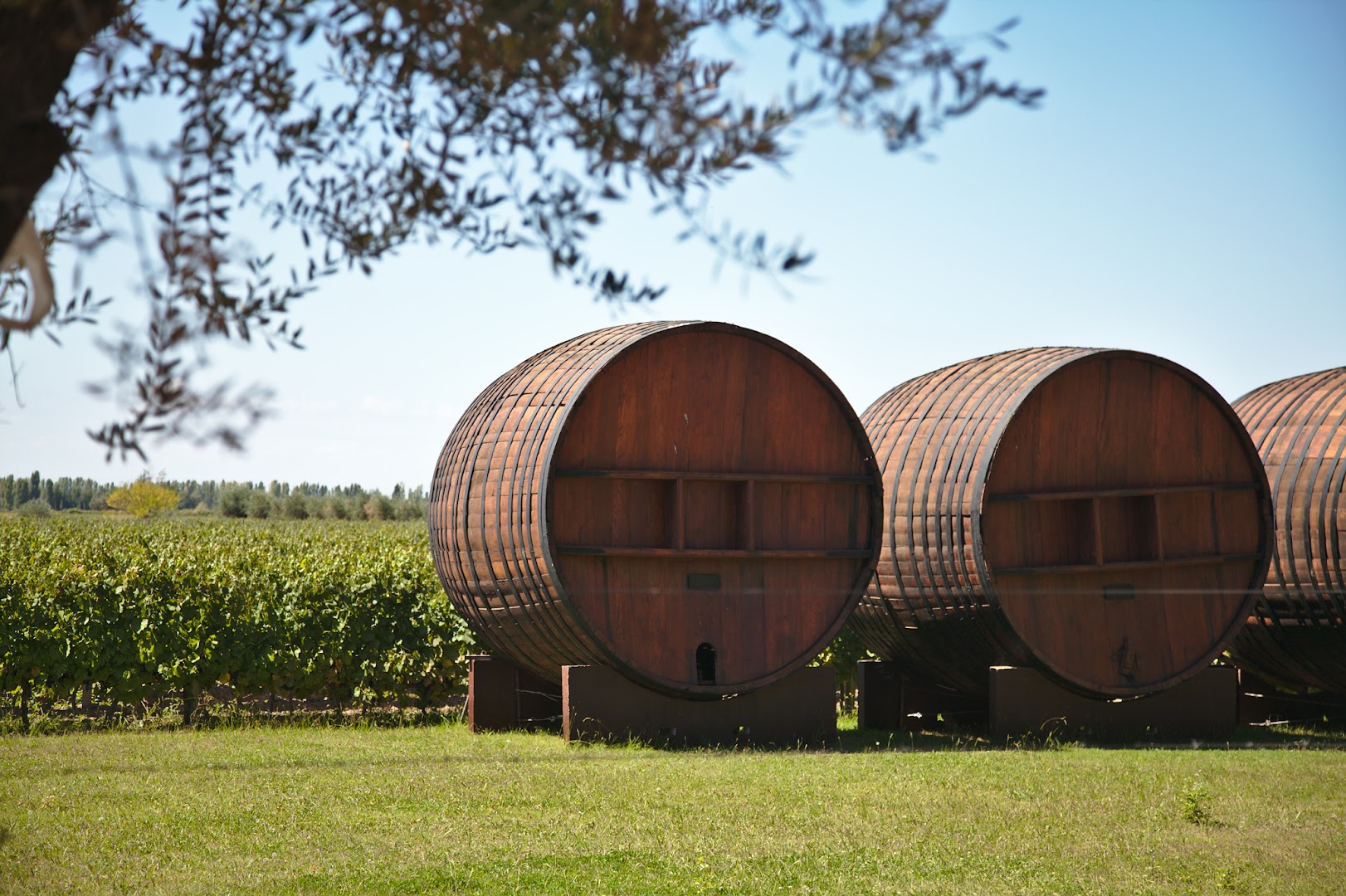 Huge wine barrels in Maipo