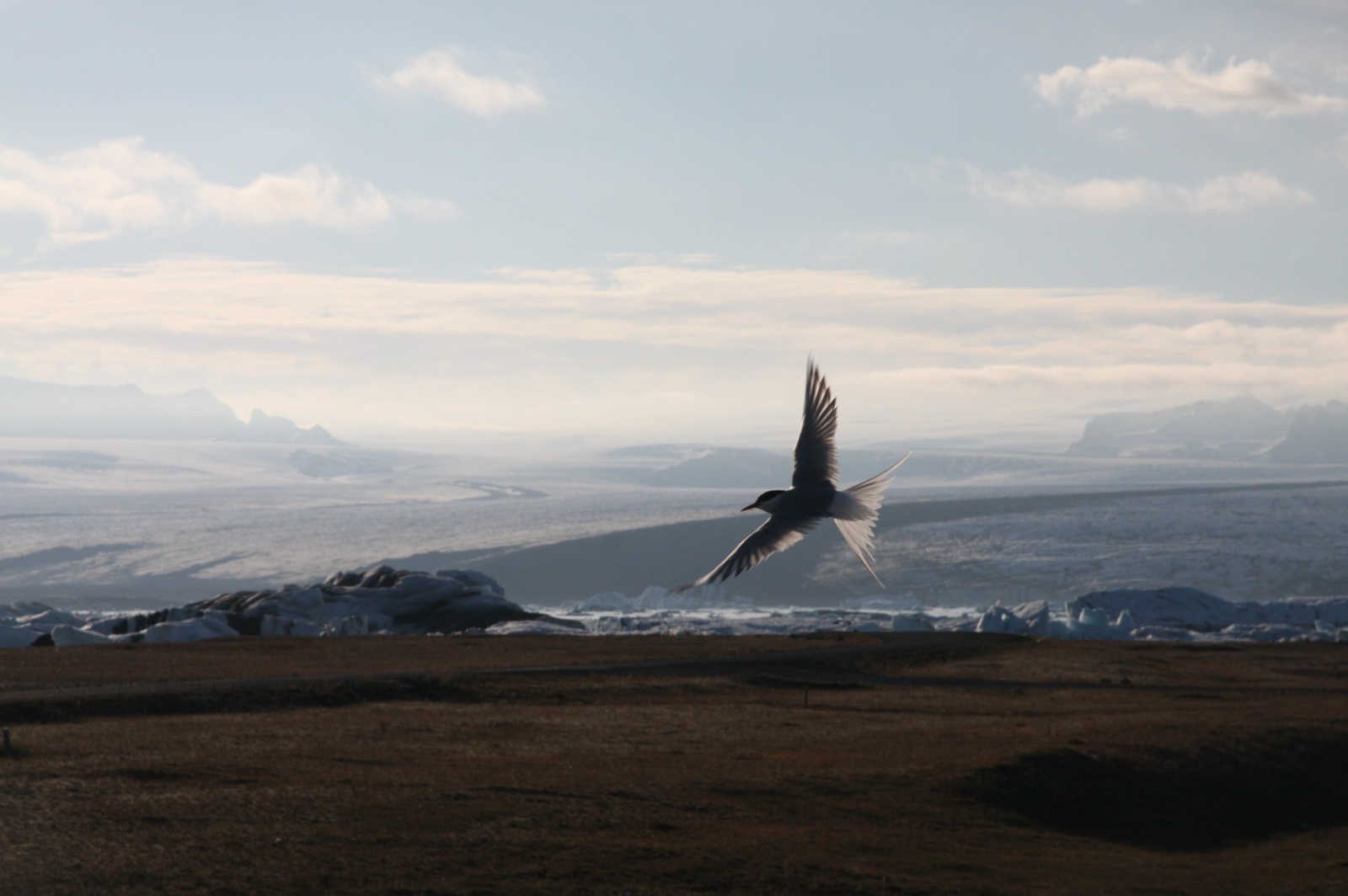 Approaching the glacier and Jökulsárlón