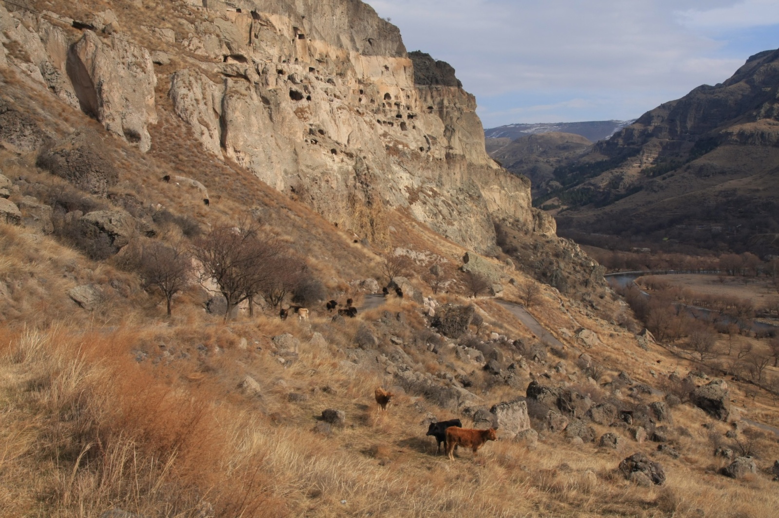 Vardzia and the Mtkvari river