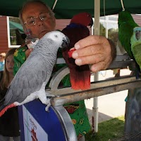 Speeltuin 65 jaar Jubileum Feest - Speeltuin65jaar (115)