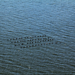 Coastal Flight July 19 2013 028