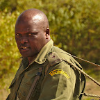 Rangers sometimes need to fight with the poachers