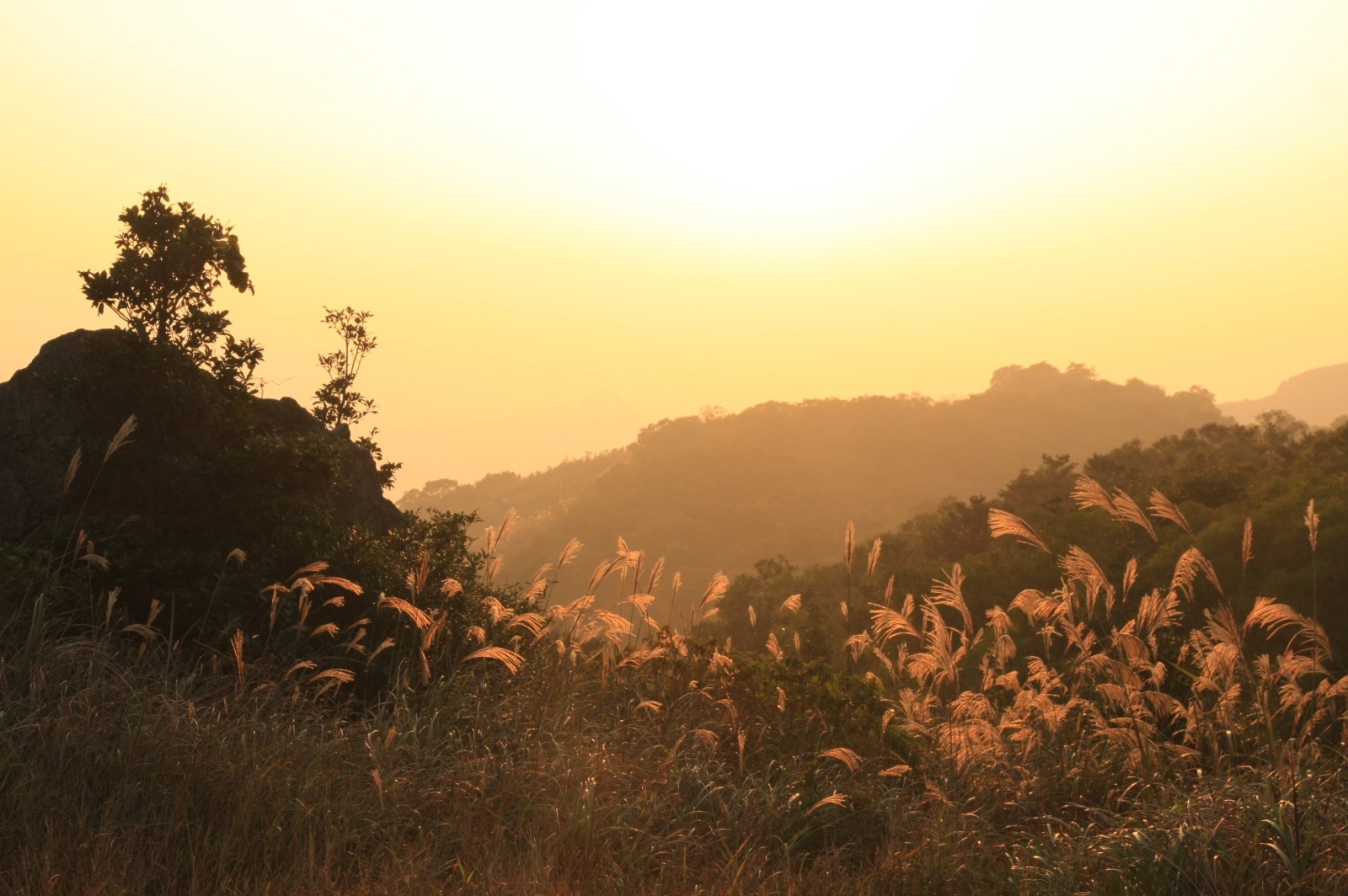 The last sunset in Hong Kong, you could know you can escape the Urban Jungle and enjoy it in the nature like this?