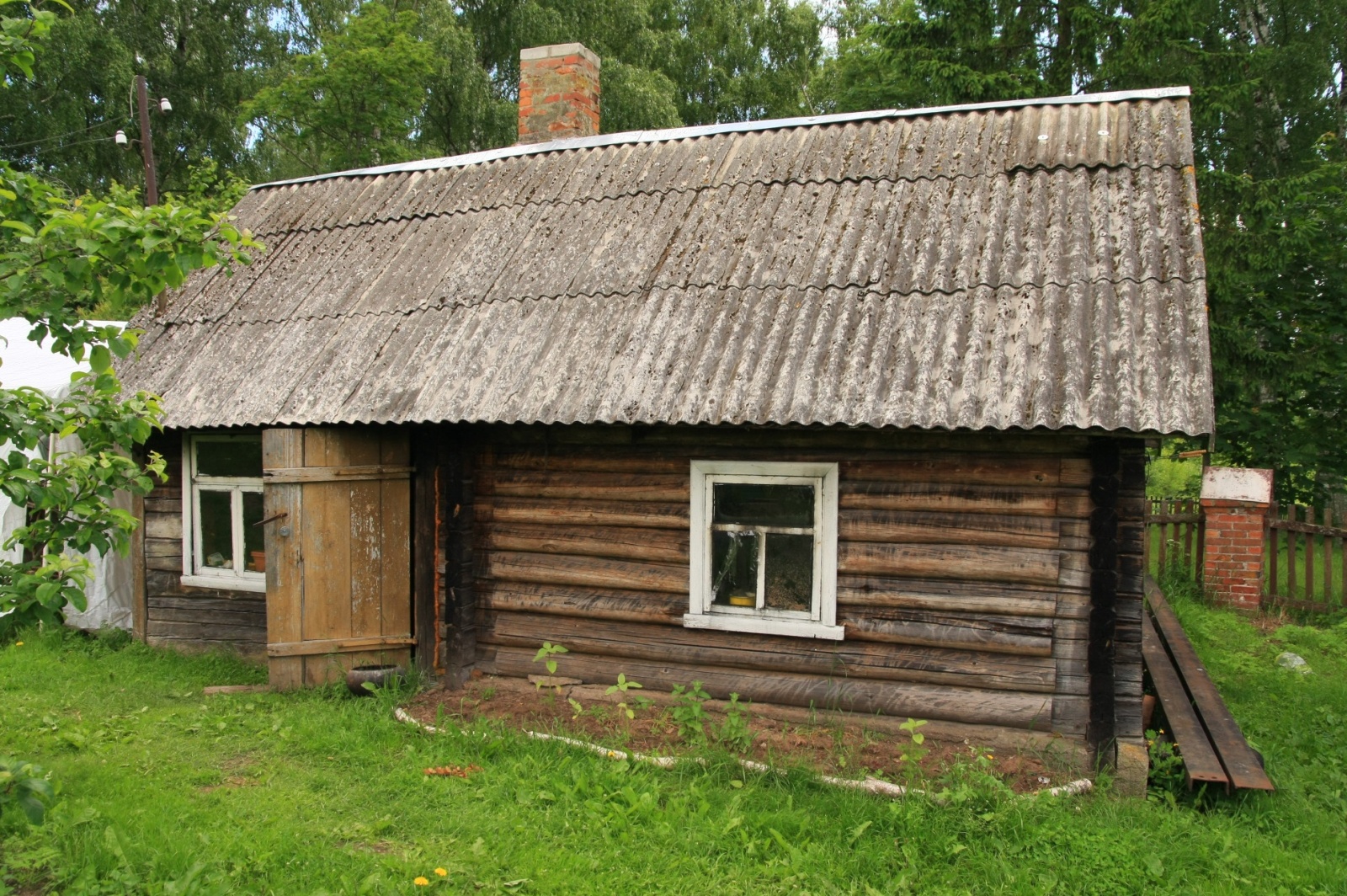 The Black Sauna