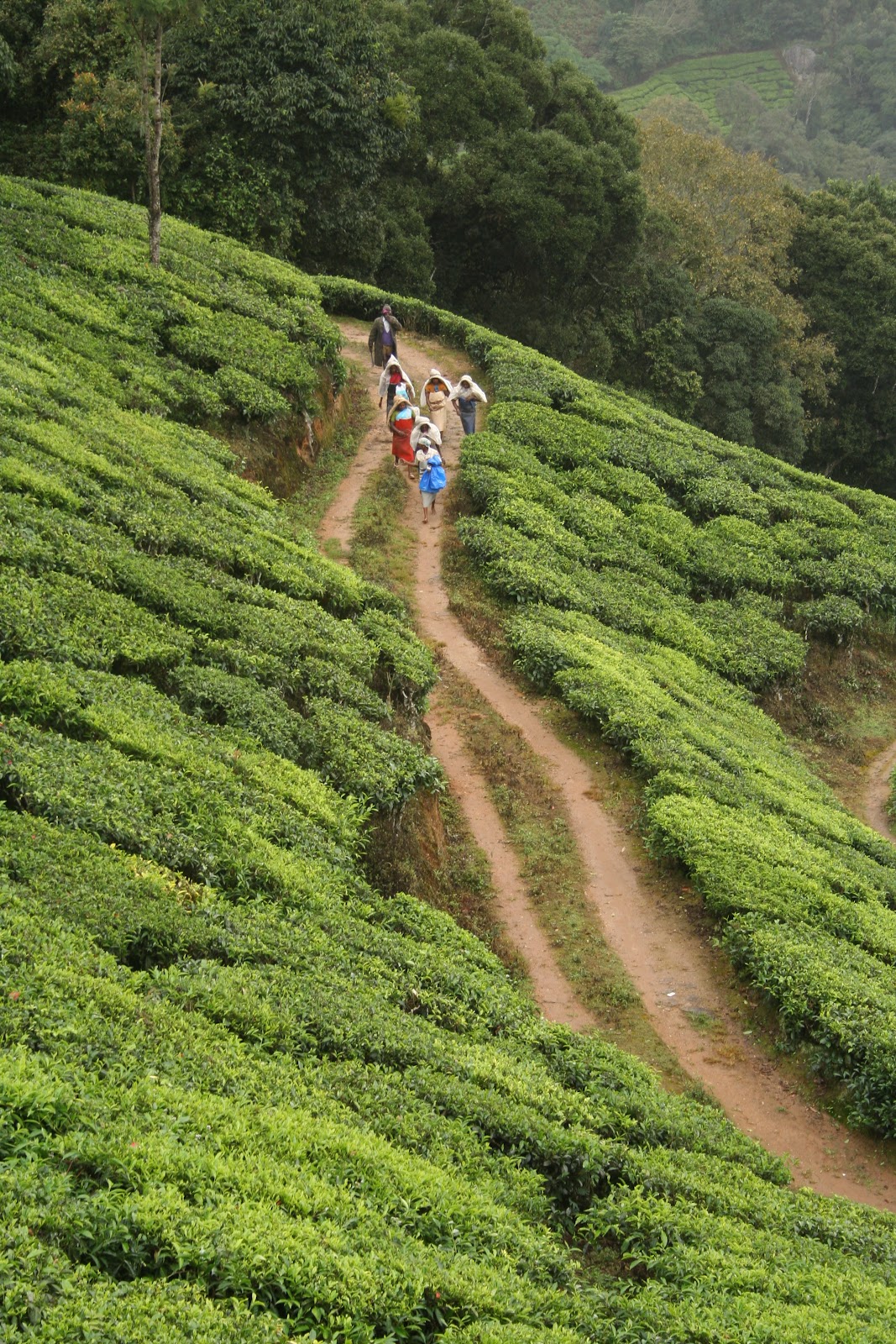 We have tea during work break, they work to get us our tea