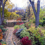 Backyard landscaping with interlock path to garage top patio!