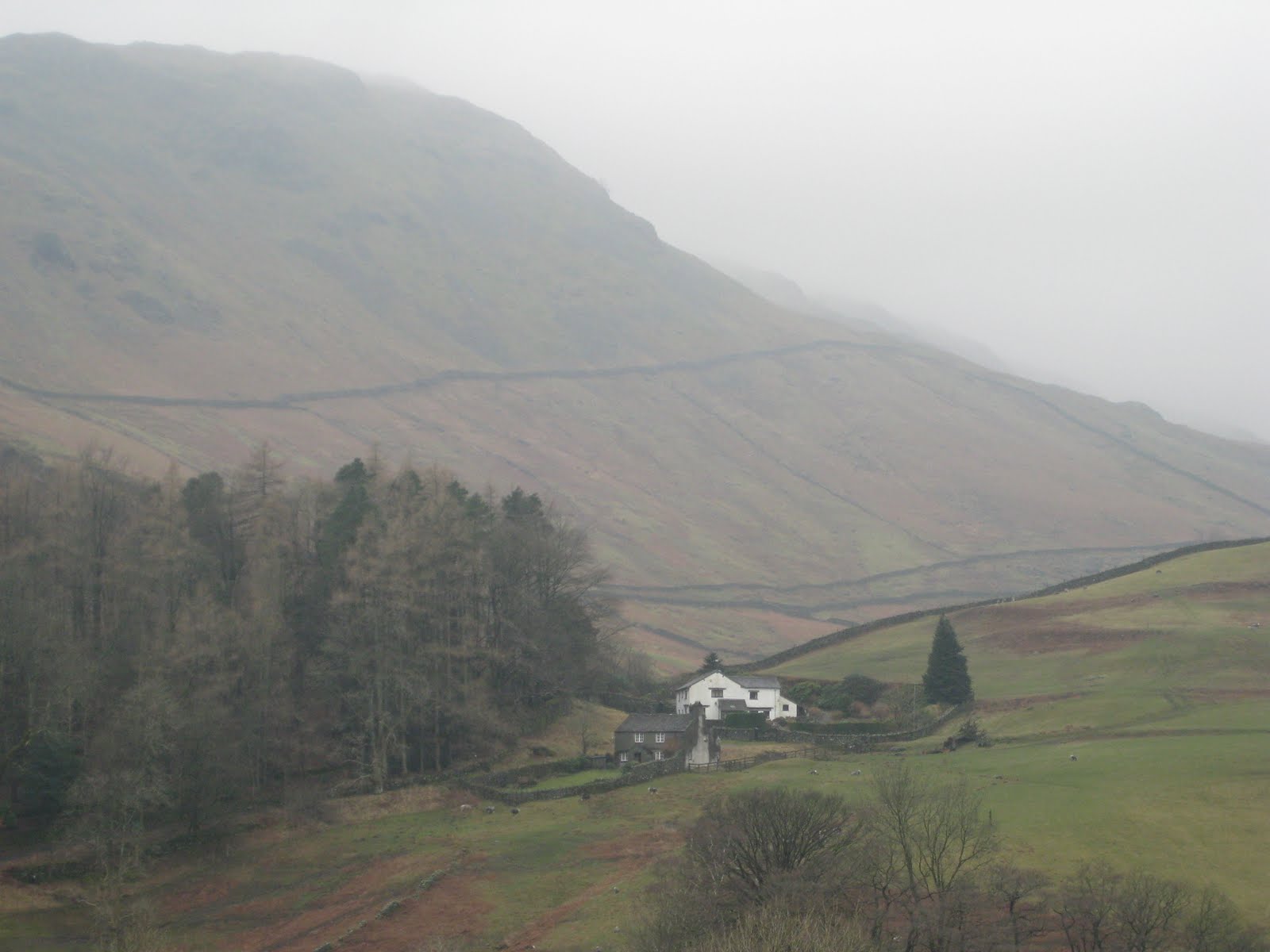 Note stone walls well up the hillside