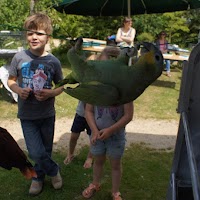 Speeltuin 65 jaar Jubileum Feest - Speeltuin65jaar (12)