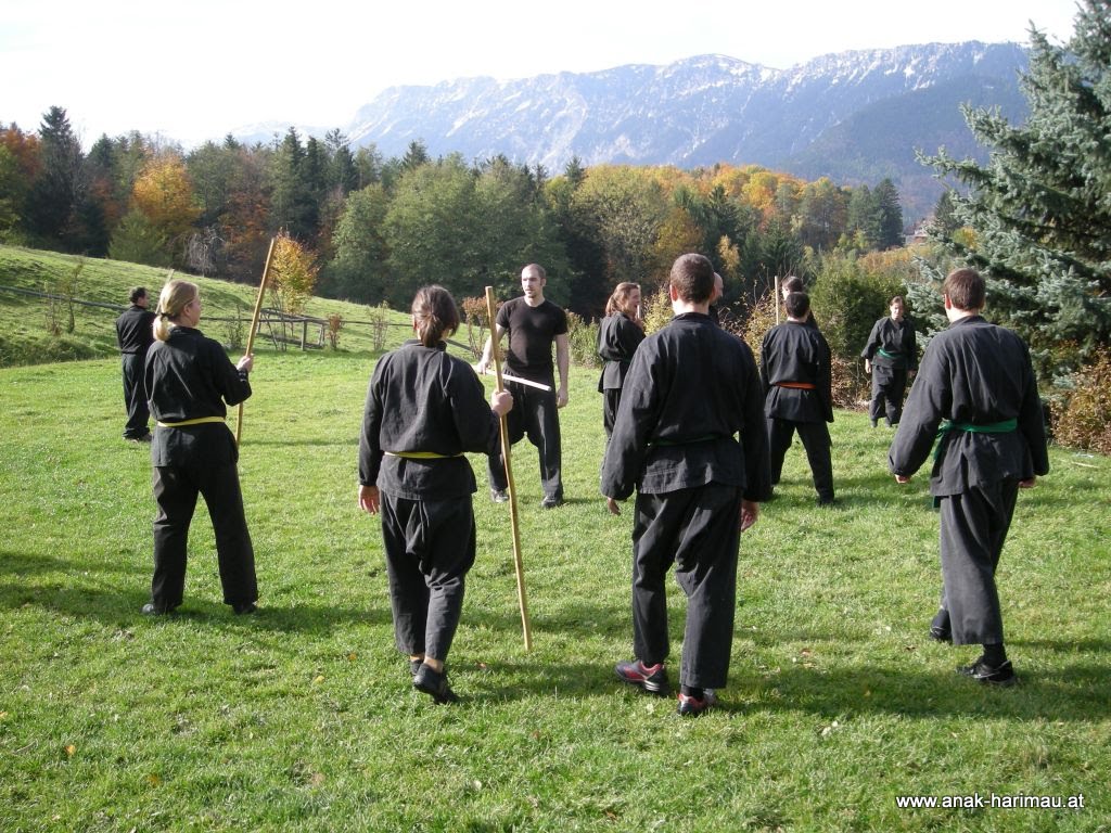 10. Anak Harimau Seminar