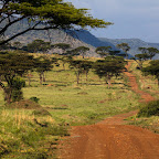 Masai Mara is beautiful after rains