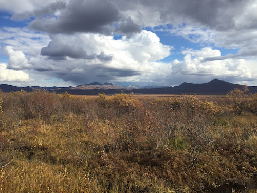 Tundra panorama along the Dempster Hwy.