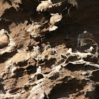 Vestmanneyar (Westman Islands) are paradise for the birds