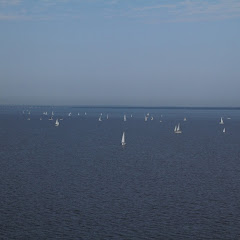 Dauphin Island Race 2013 026