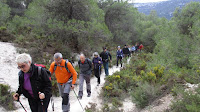 PER EL SALT,CANALONS I CASTELLAR-CEA.-10-I-2016 060