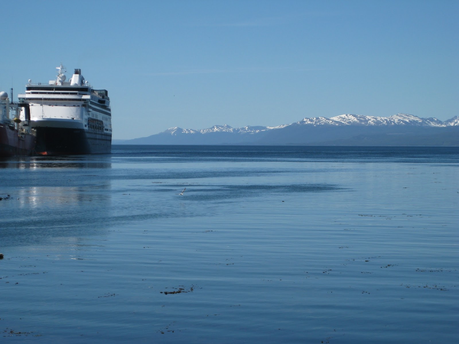 Beagle Channel, looking across to Chile