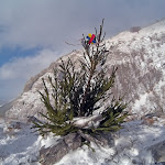 Višerujna 1632m, Božićni Velebit 16.-17.12.2017.