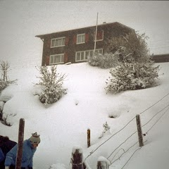 1981 Leiterausflug - Leiterausflug81_022