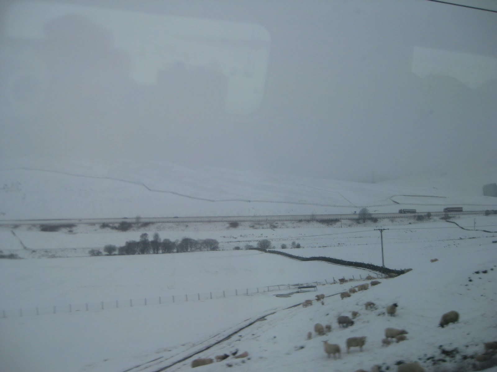 Borders region, viewed from a warm train