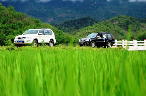DSC_6673 - In the rice fields; May, 2013; Vietnam, Mai Chau
