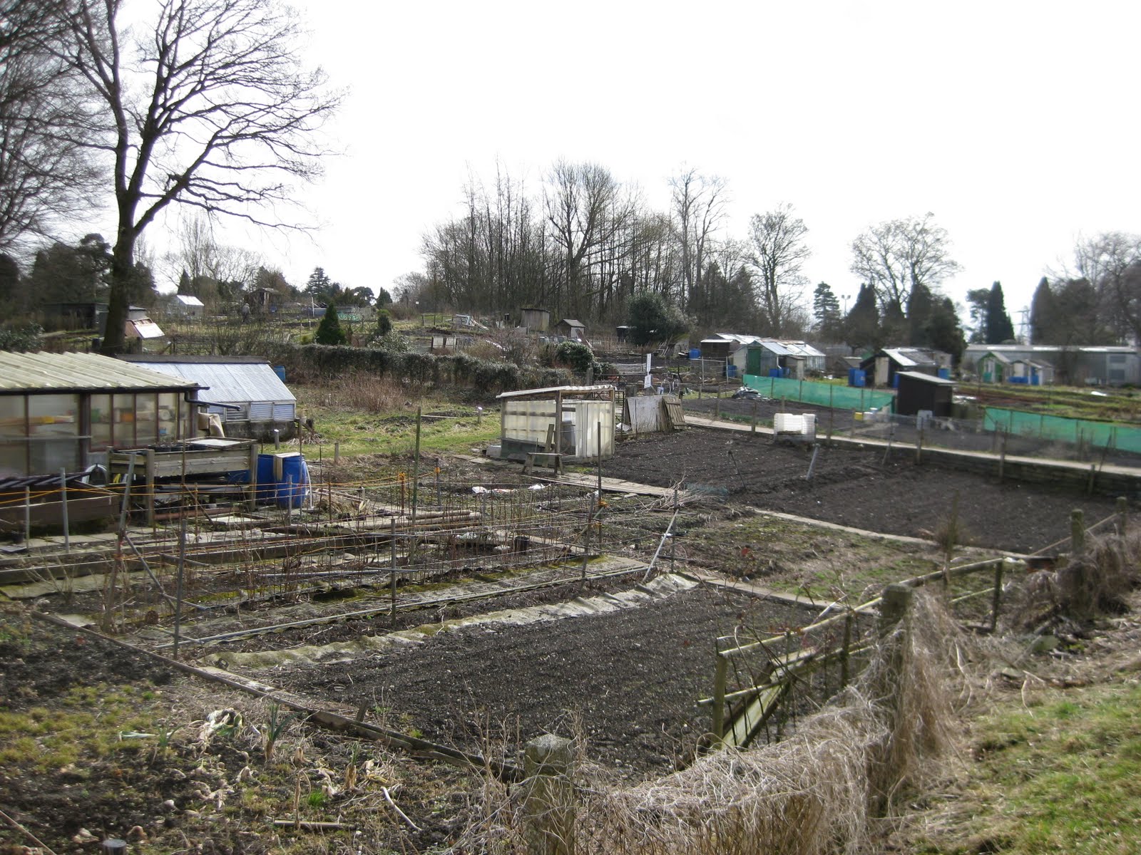 Allotments