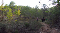 RUTA DE LES CAVES-CEA.-9-X-2016 056