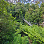 A suspension bridge in the Jurassic Park