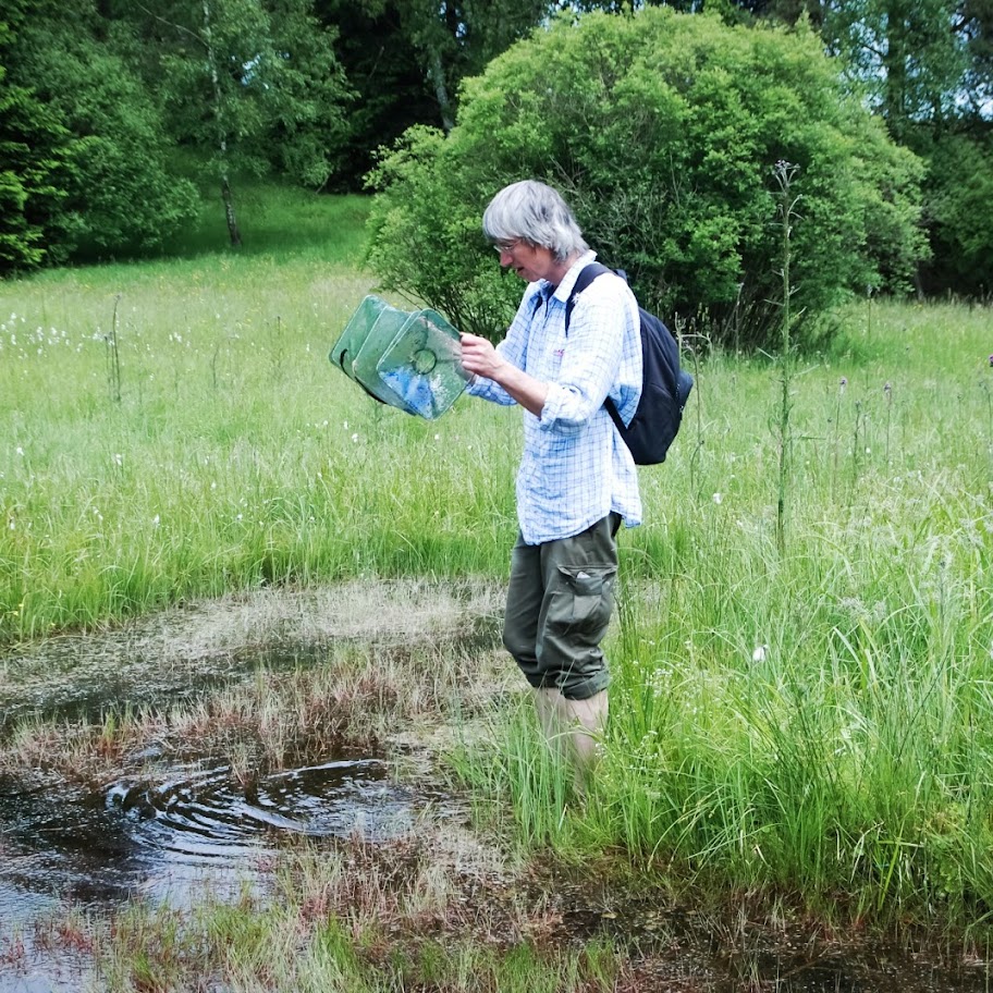 Přírodovědná procházka s praco...