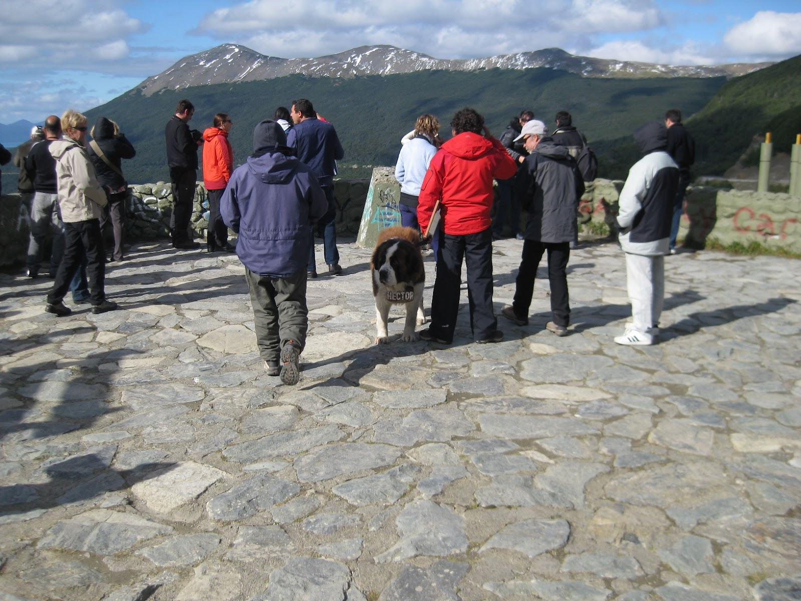 I don't know what it is with Argentines and getting their photo with a St Bernard