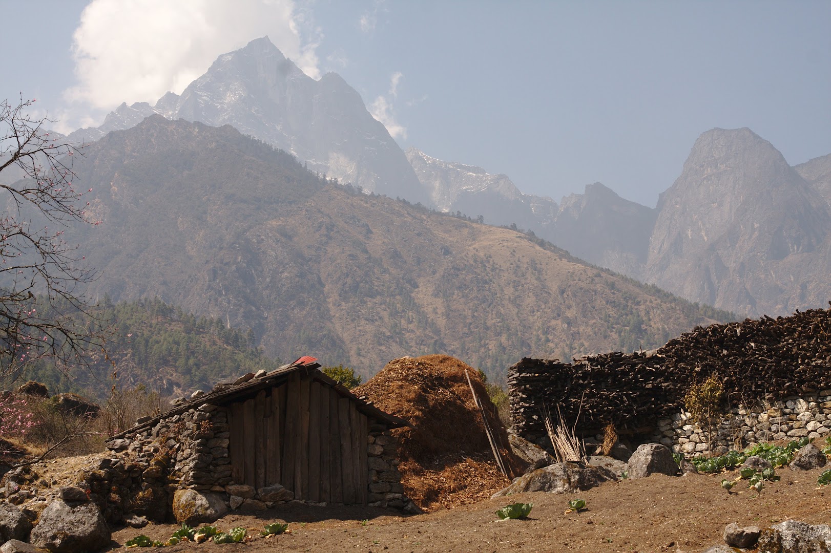 Nepal