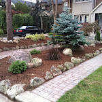 New pine tree and plants, interlock and stone border.