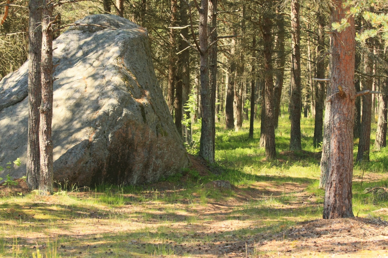 Prangli, as all of Northern Estonia, is reach with "travelling" granite boulders, brought from the Scandinavia during the last Ice Age