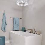 Master Bathroom with free standing tub