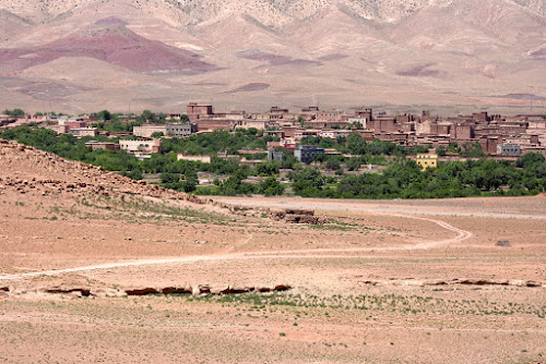 DSC_0322 - An oasis; April, 2017; Morocco, Valley of Roses