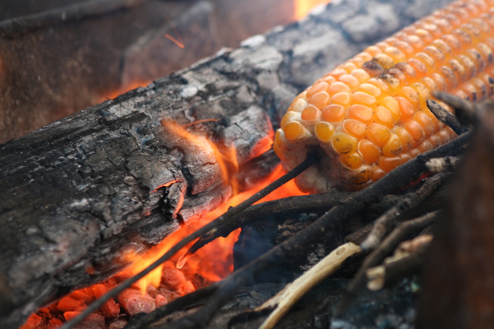 hot corn on a rainy day