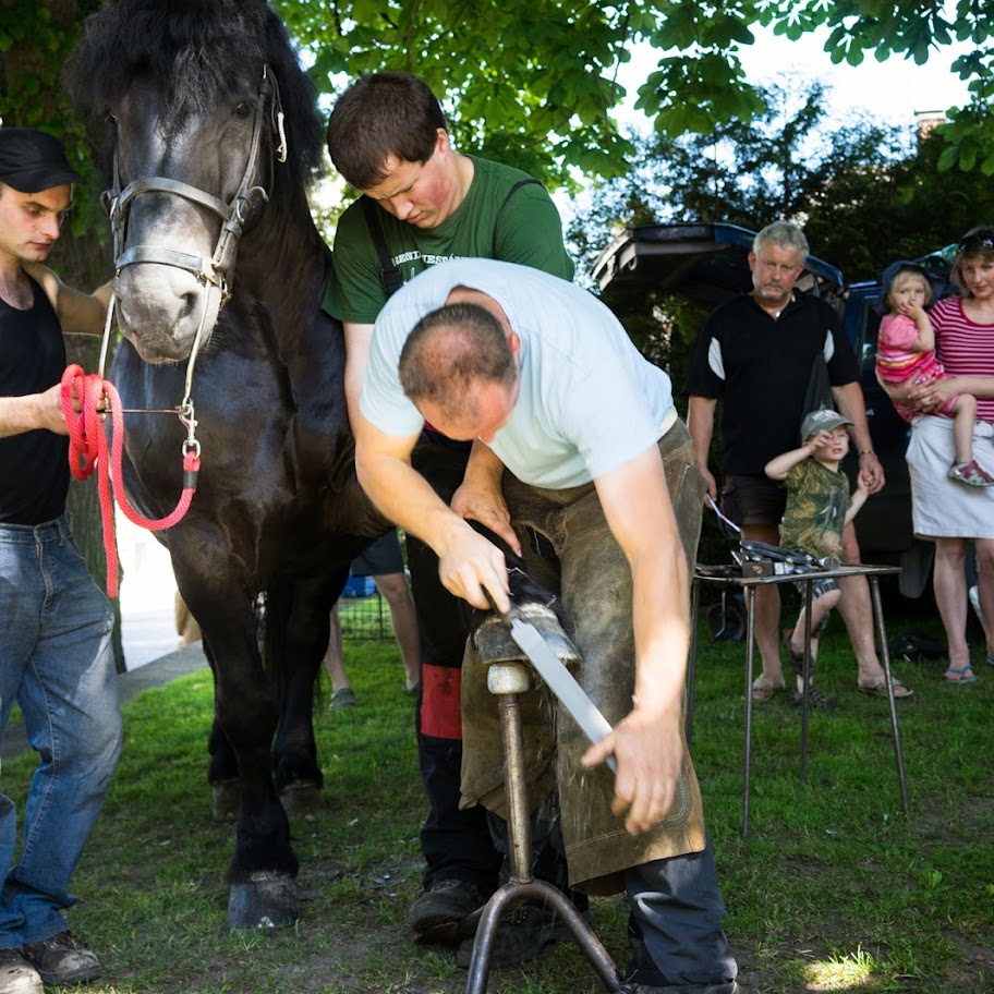 Trhovokamenické trhy 2014 - DSC062...