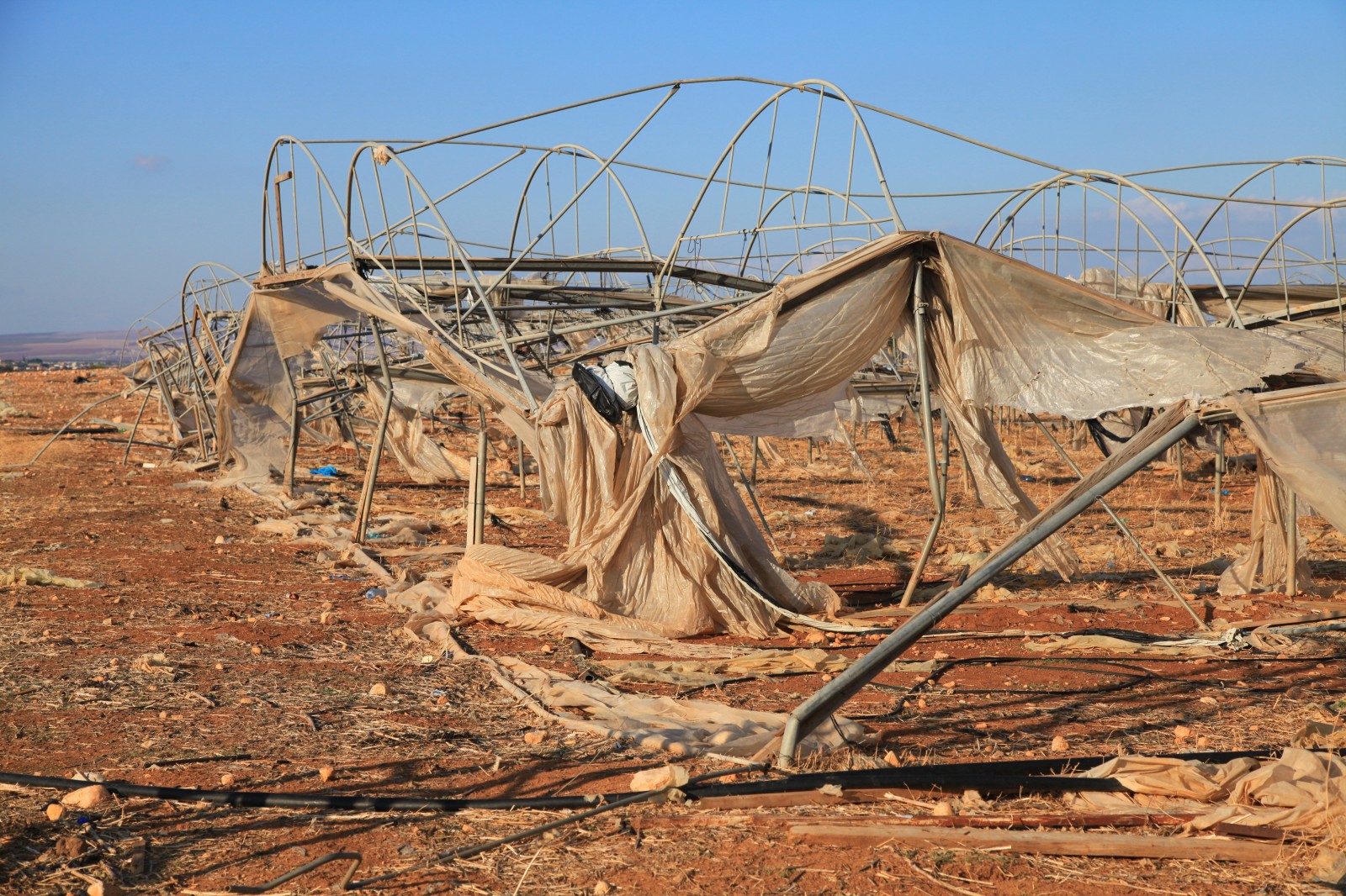 The state of agriculture in West Bank