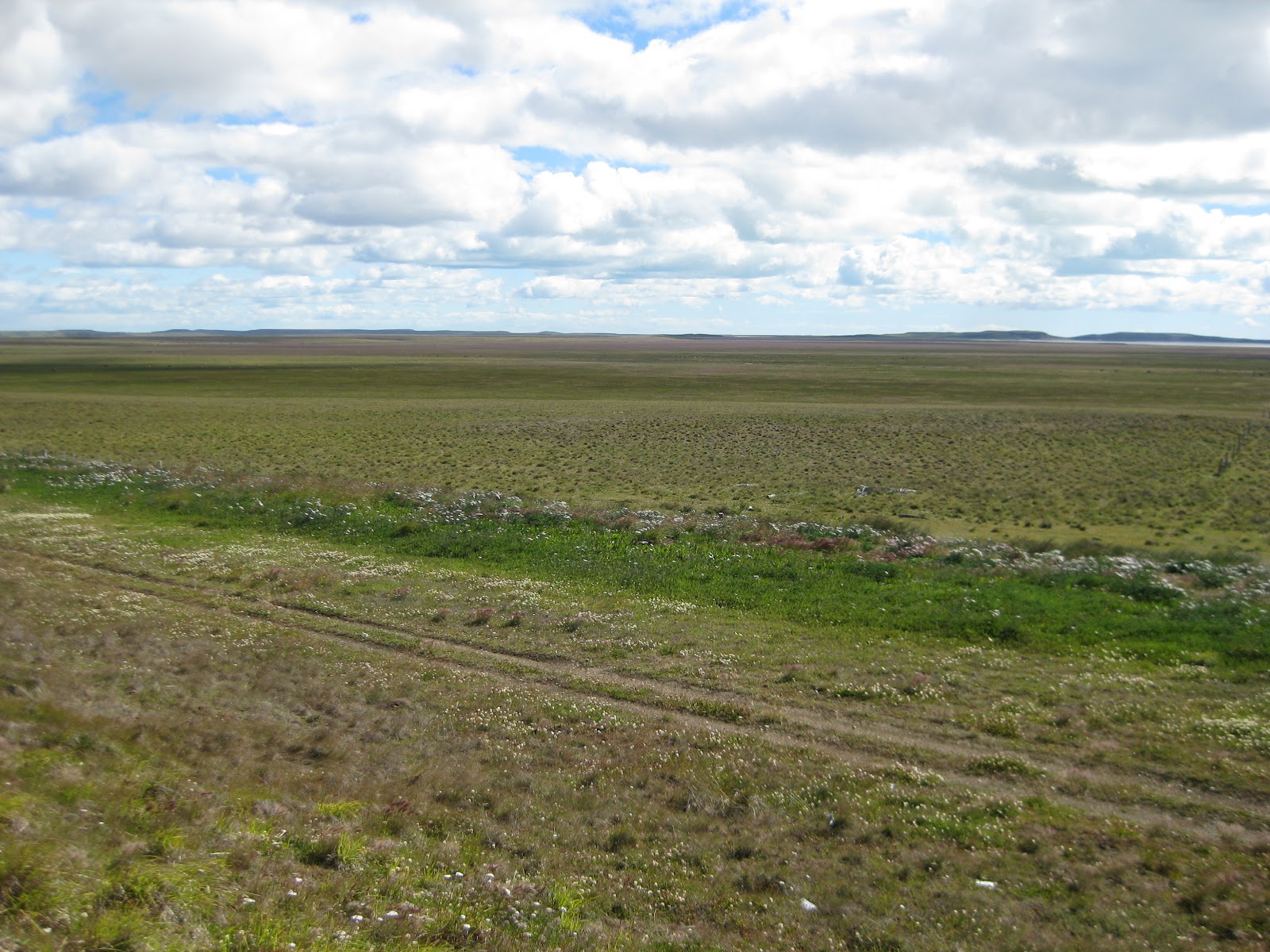 Boring flat grasslands