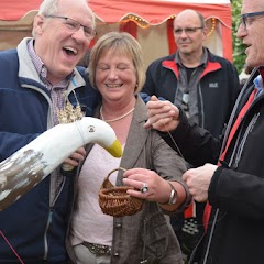 2015 Vogelschmücken - DS...