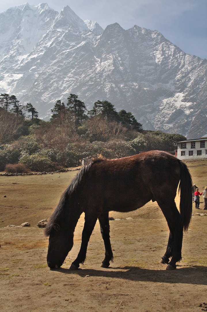 Nepal