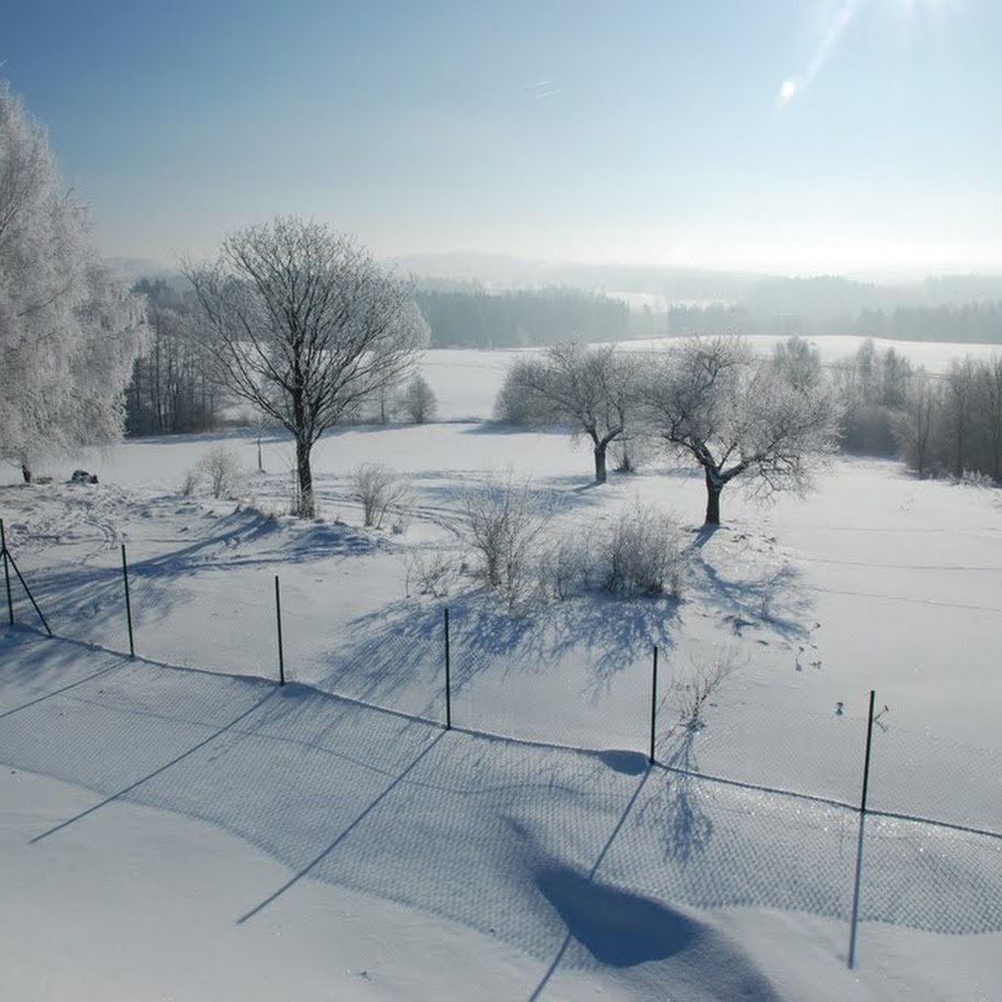 Ladovská zima 2010 - DSC_1584